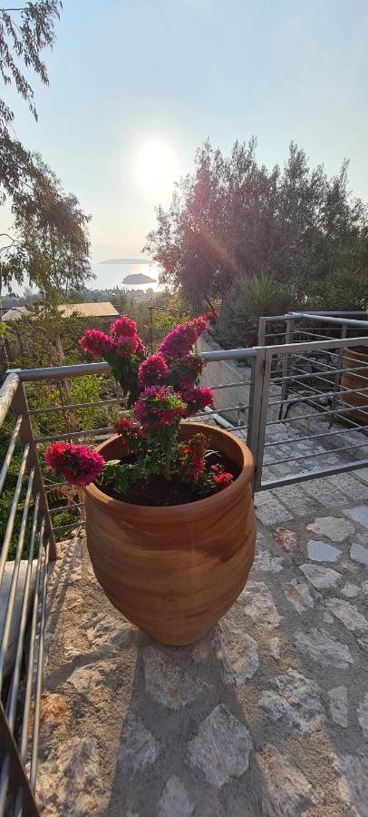 Villa Πέτρα, Ελιά Και Λεβάντα Tolón Exterior foto
