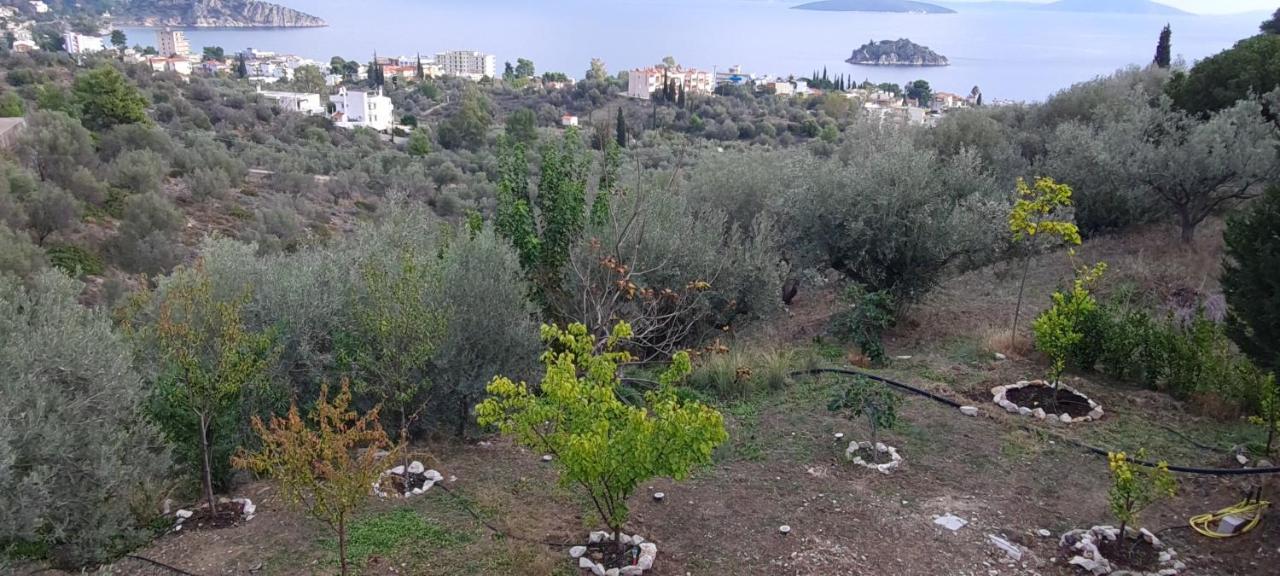 Villa Πέτρα, Ελιά Και Λεβάντα Tolón Exterior foto