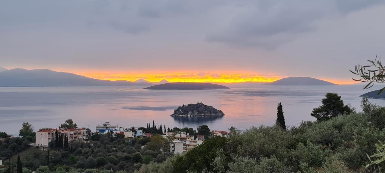Villa Πέτρα, Ελιά Και Λεβάντα Tolón Exterior foto